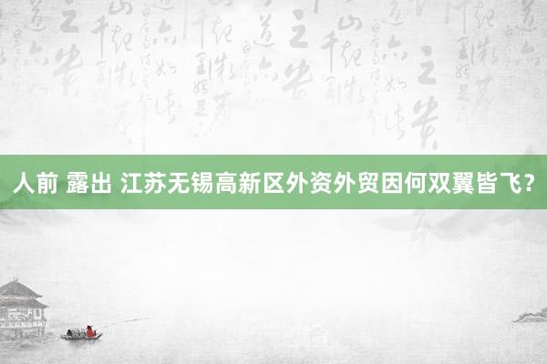人前 露出 江苏无锡高新区外资外贸因何双翼皆飞？