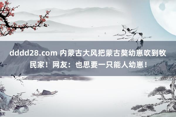 dddd28.com 内蒙古大风把蒙古獒幼崽吹到牧民家！网友：也思要一只能人幼崽！